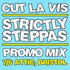 Strictly Steppas Launch Party  mix - The Attic, Bristol, 7th June 2012