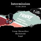 The Funky Adventures LIVE (Full Set) - Fader Lustig & Radikarl