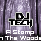 Stomp in the Woods 2