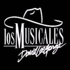 David Lee Garza y Los Musicales 'Through The Years' MIx