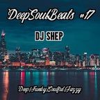 DeepSoulBeats #17   {Deep/Funky/Soulful/Jazzy House}