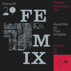 FEMIX — 29 Guest Mix by Puzz Amatizta
