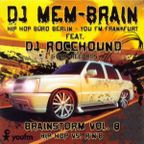 Brainstorm Vol.8 - Dj MemBrain & Dj Rocchound 2006