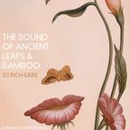 The Sounds of Ancient Leafs & Bamboo