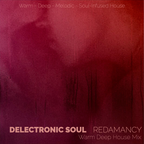 Delectronic Soul - Redamancy - Deep & Warm House Music Mix - 31 Slices of Deep House