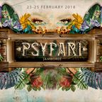 Psyfari 2018 - Feb 25 - Foxtrot Stage