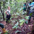 The Nigerian Montane Forest (Mambilla plateau) - an interview with Dr Hazel Chapman
