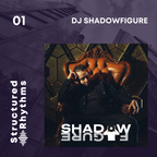 Structured Rhythms Volume 1 - Mixed by DJ Shadowfigure