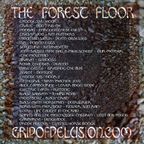 The Forest Floor Episode 32b