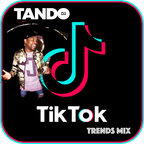 DJ TANDO TIKTOK TRENDS VOL 1