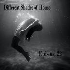 Different Shades of House 22 [Tech House]