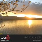RK3 056: June 2022