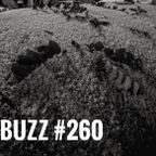 Buzz #260