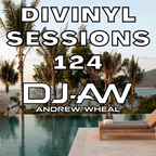 Divinyl Sessions 124
