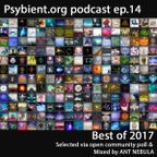 psybient.org podcast - episode 14 - Best of 2017 mixed by Ant Nebula