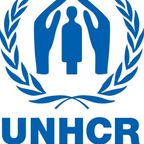 CISD: UN Series UNHCR Luc Brandt Interview