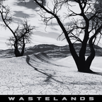 Wastelands - 3