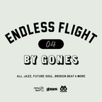 ENDLESS FLIGHT #4 (Feb.'20)