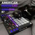 Mix[c]loud - AREA EDM 87 - American House Cat