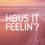 Mix Tape 2017_Jul_1 -Mixed for "Haus it Feelin' ?"-