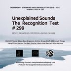 Unexplained Sounds - The Recognition Test # 299