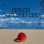 USLNK - Devotee mix 