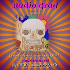 Radio Pirata - La nascita della radio pubblica