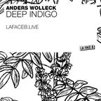 Anders Wolleck | Deep Indigo 2021-01-27