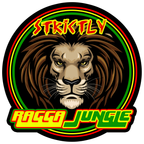 DJ Fury #allstylesallflavours Jungle/DNB Show AXFEST Warm Up