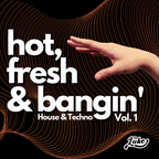 DJ Sir Luke - Hot, Fresh, & Banging' Vol. 1