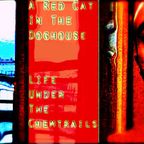 A RED CAT IN THE DOG HOUSE - The MIXOLOGY Mixtape
