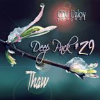 CDJ Uzlov project - Deep Pack #29 (Thaw)