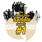 #1 Wu Tang Clan x The James Trice Sample Select x Whitechapel AM
