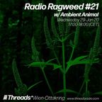 Radio Ragweed #21 w/ Ambient Animal (Threads* WIEN-OTTAKRING) - 29-Jan-20