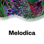 Melodica 6 July 2020