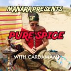 DJ Cardamami Guest Mix | Pure Spice BBC Asian Network