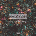 HALCYON "Live in the Bay"