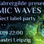 MIR closing old school goa set @ Cosmic Waves party