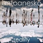 disguised reality