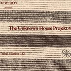 Tribal Mission 132 - The Unknown House Project 4