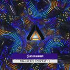 Releasse - Transcape Podcast 13 (2020)