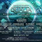 El Mago 2019-11-17 live at Qualia