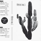 PEPITES Vol.1 - Some secrets songs by the locals bands we Love