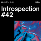 Introspection #42