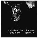 Calculated Compilations 1 Here's To Life