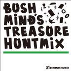 Bushmind's Treasure Hunt Mix