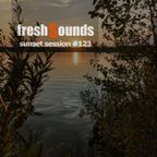 freshSoundsDD - sunset session #123 (2023-10-29)