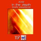 In the Depth 117 - Soulful Experience  - DjSet by BarbaBlues