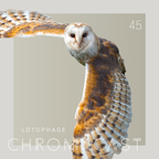 Chromacast 45 - lotophage