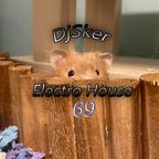 DjSker Electro House 69